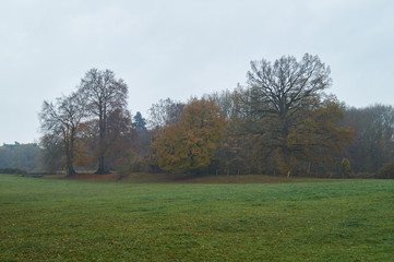 Fototapeta na wymiar Herbstimpressionen 
