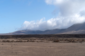 Fototapeta na wymiar Arid landscape, Lanzarote, Canary, Spain
