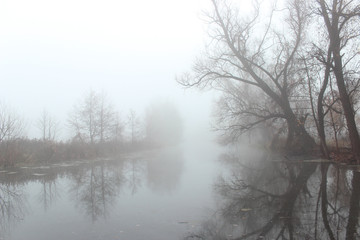 Fototapeta na wymiar fog on the water