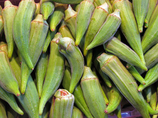 Fototapeta premium green okra
