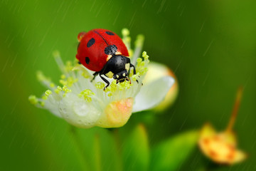 500px Photo ID: 247839845