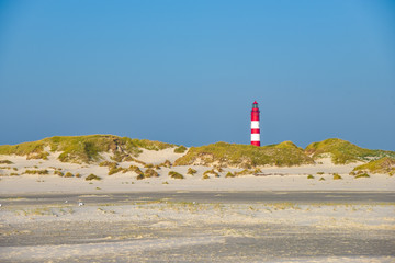 Insel Amrum am sonnigen Hersttag