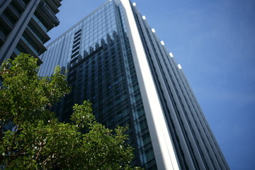 Fototapeta premium 大都会