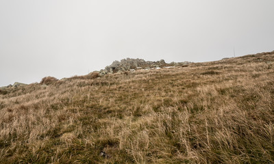 autumn mountain meadow with few rocks