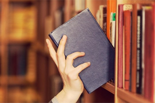 Book bookshelf education hand information learning literature