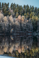 Fototapeta premium Incredible reflections in the lake with beautiful sunset light. The first frosts in Scandinavia, Finland