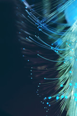 An amazing and vibrant macro of blue fiber optical pipes that illuminate making sparkles and...
