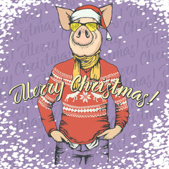 Pig Christmas and New Year vector concept