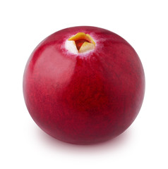 Single cranberry isolated on a white background.