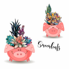 Obraz premium Flower arrangement of succulents. In funny pots in the form of pigs. Vector illustration.