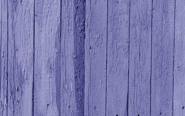 Naklejka premium Old wooden wall in blue color.