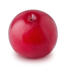Ripe cranberry isolated on a white background.