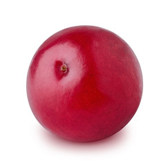 Ripe cranberry isolated on a white background.