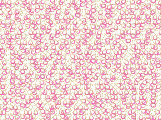 背景　パターン　ランダム　曲線　