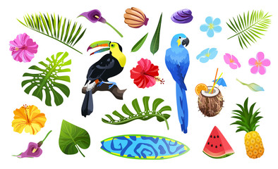 Obraz premium tropical objects set