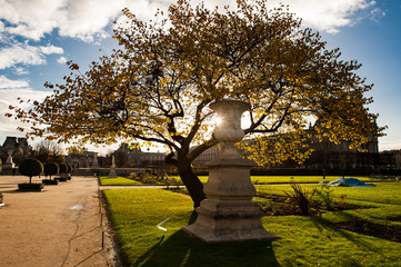 autumn in the park