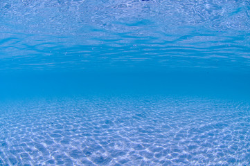 Cystal Clear Beach with White Sandy Floor of Palau