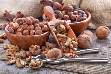 Hazelnuts and walnuts on a spoon and in a linen sack on an old wooden table