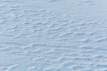 Snow ripples