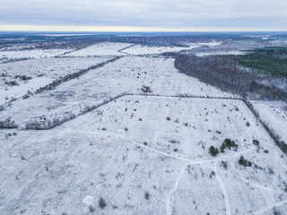 Obraz premium Aerial view of the snow field and winter forest 