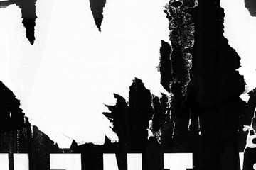 Blank black white creased crumpled paper texture background old grunge ripped torn collage posters placards empty copy space for text