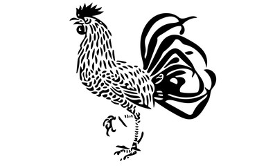 Fototapeta na wymiar rooster
