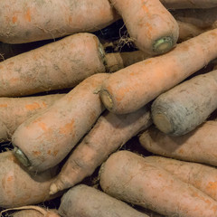 high angle view of dusty carrots