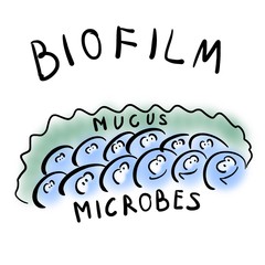 Microbes in biofilm