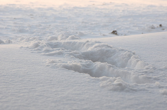 Следы на снегу