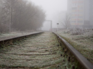 Plakat misty morning on the railway