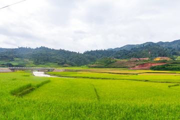 Fototapeta premium Beautiful view of rice terrace, mu cang chai, vietnam