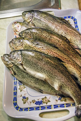 Fresh trouts on the plate