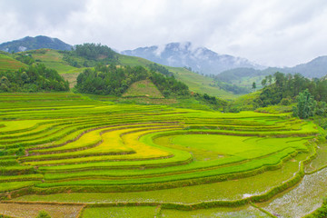 Beautiful view of rice terrace, mu cang chai, vietnam