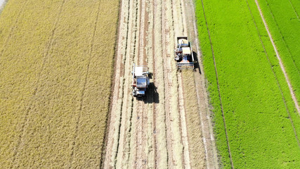 Aerial view of truck harvesting rice in the field