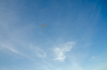 kites in the summer sky