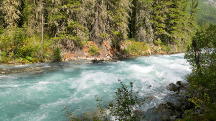 View from the height of the mountain river. Fast mountain river in Siberia. Russia. Mountains with clean fresh air.
