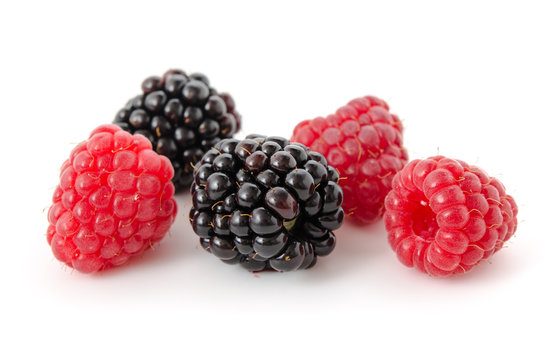 Himbeeren und Brombeeren