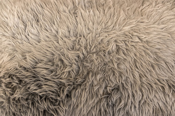 Very fine fake fur carpet texture background