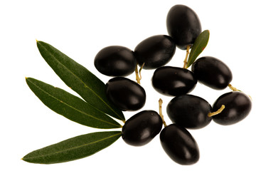 Ripe black olives on a branch isolated over white background