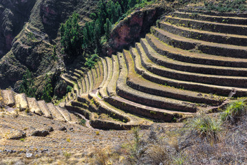 Agricultural terraces at the Incan ruins of Pisac, Peru