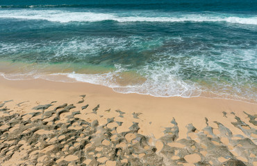 beach and sea