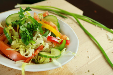 Fresh vegetable salad with paprika, cucumber, tomato, parsley and spices.