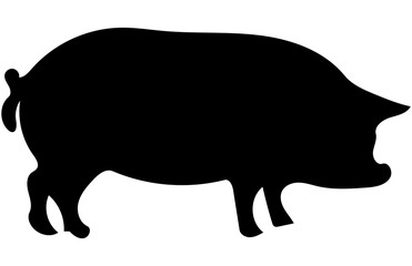 Pig