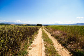 Fototapeta na wymiar Parc Natural de Gallecs in Mollet del Vallés (Catalonia)