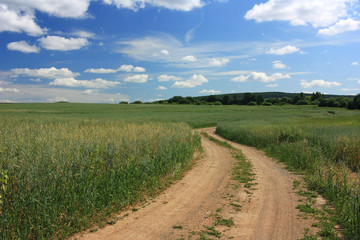 Country dirt road in the field