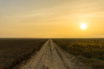 Fototapeta na wymiar Dirt road along the field and yellow sky