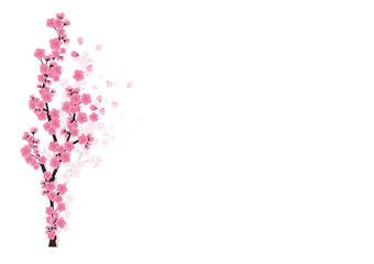 Naklejka premium Cherry blossom flowers background. Sakura pink flowers background.
