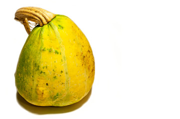 Yellow-green pumpkin isolated.