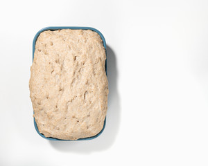 whole grain wheat dough in blue rectangular form before backing. Top view