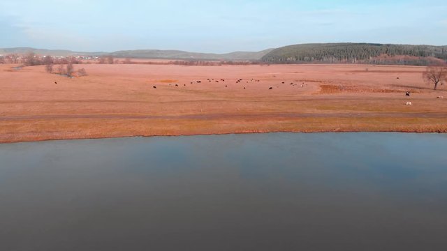 Republic of Bashkortostan, rivers, autumn Idrisovskaya cave. modern color toning